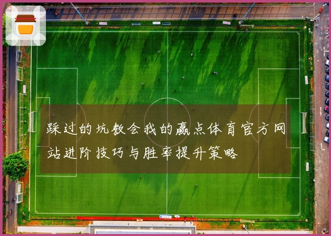 踩过的坑教会我的赢点体育官方网站进阶技巧与胜率提升策略