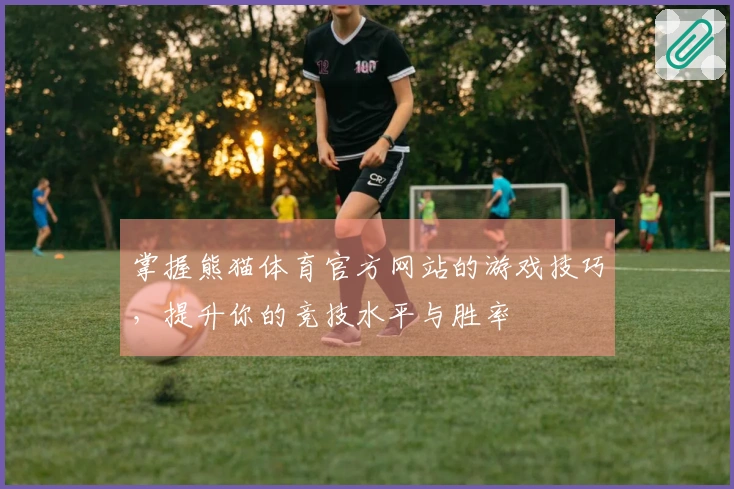 掌握熊猫体育官方网站的游戏技巧，提升你的竞技水平与胜率