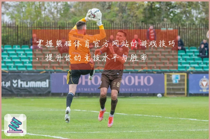 掌握熊猫体育官方网站的游戏技巧，提升你的竞技水平与胜率