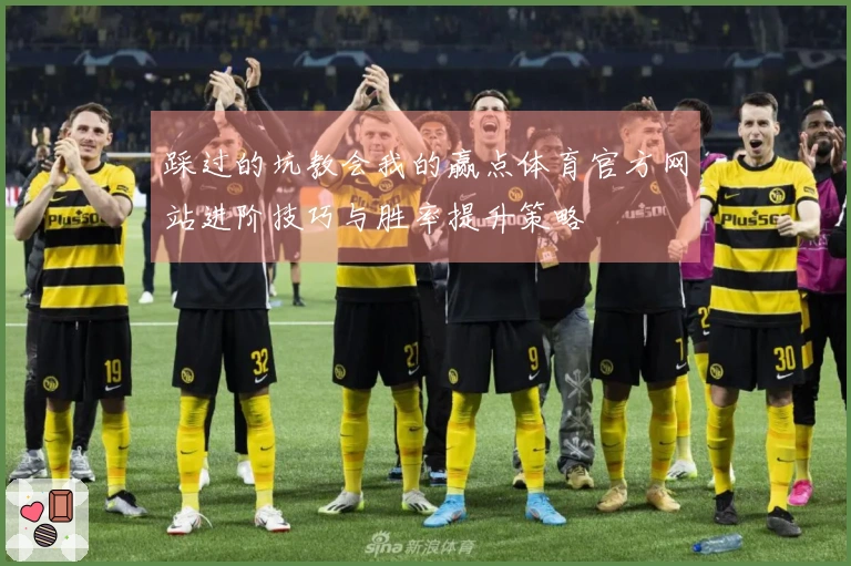 踩过的坑教会我的赢点体育官方网站进阶技巧与胜率提升策略