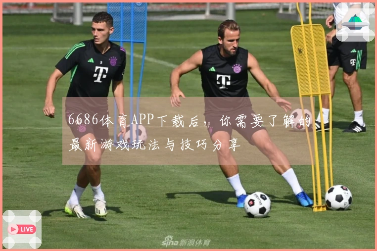 6686体育APP下载后，你需要了解的最新游戏玩法与技巧分享